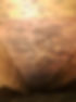 Attic mold. 