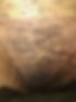 Attic mold.