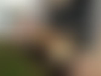 Y2 (Badgers) have been gardening and have potted up plants for the our living wall.