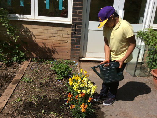 Every class enjoys their weekly gardening sessions with Hannah and have their very own allotment gar