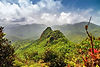 vibrant-view-el-yunque-635983856-eaff89c965b84b8cbf55202b448cb06b.jpg