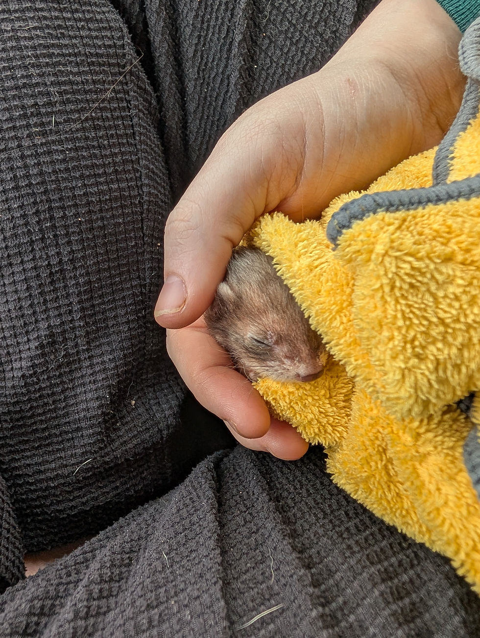 Mira at 6wks, 4/13/25