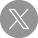 x-icon