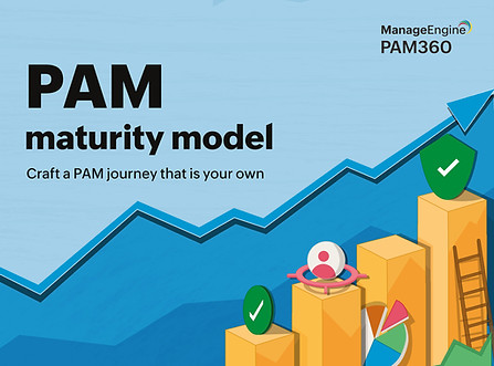ME-13 PAM Maturity Model-1.jpg