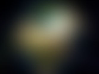 How can MSPs best serve the New Borderless Enterprise?