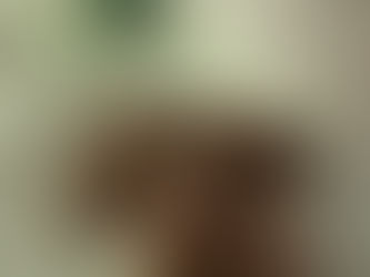 Almond Joy Protein Balls