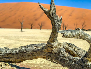 SOSSUSVLEI / DEADVLEI