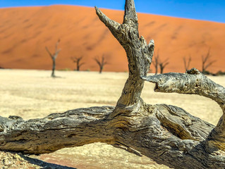 SOSSUSVLEI / DEADVLEI