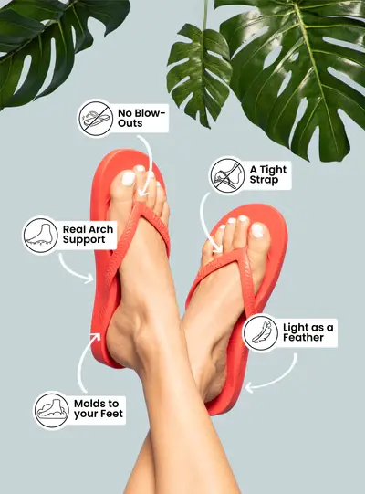 arches flip flop.WEBP