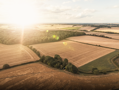 Escape & Unplug Whilst Surrounded By Nature - Discover The Secret Location That Helps You Recharge!