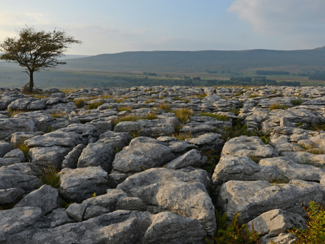 Discover Malham Cove In The Yorkshire Dales