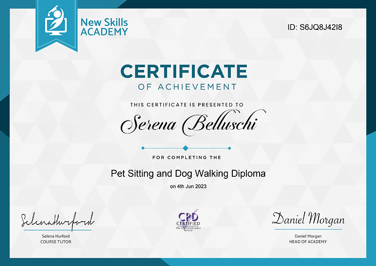 Dog walking and pet sitting diploma