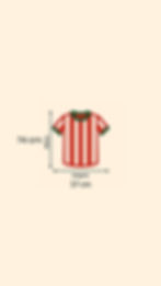Miniatura: Camisa Figueirense 2013 Goleiro - Verde Nº 1