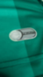 Miniatura: Camisa Figueirense 2013 Goleiro - Verde Nº 1