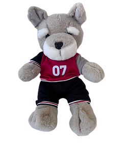 Dog w outfit_edited.png