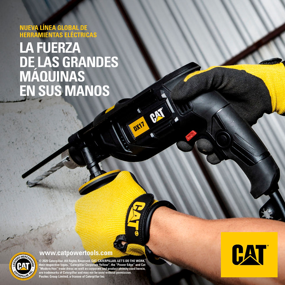 Miniatura: ROTOMARTILLO 750W 1/2" 3000 RPM CAT MOD: DX17U