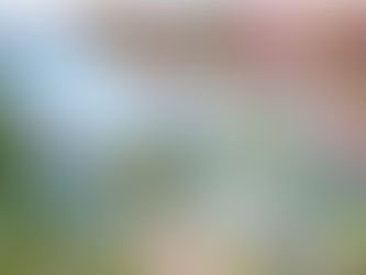 Comfy Wardrobe Essentials to put a Spring in your Step..!