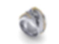 Image-1