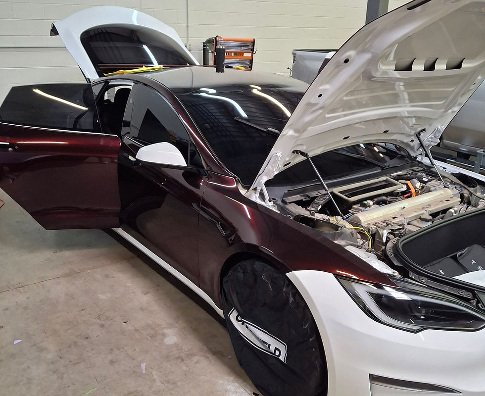 color ppf on tesla in Bensenville il