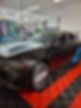 how to install paint protection film