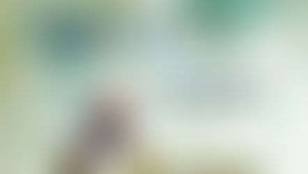 12月 活動日1回目