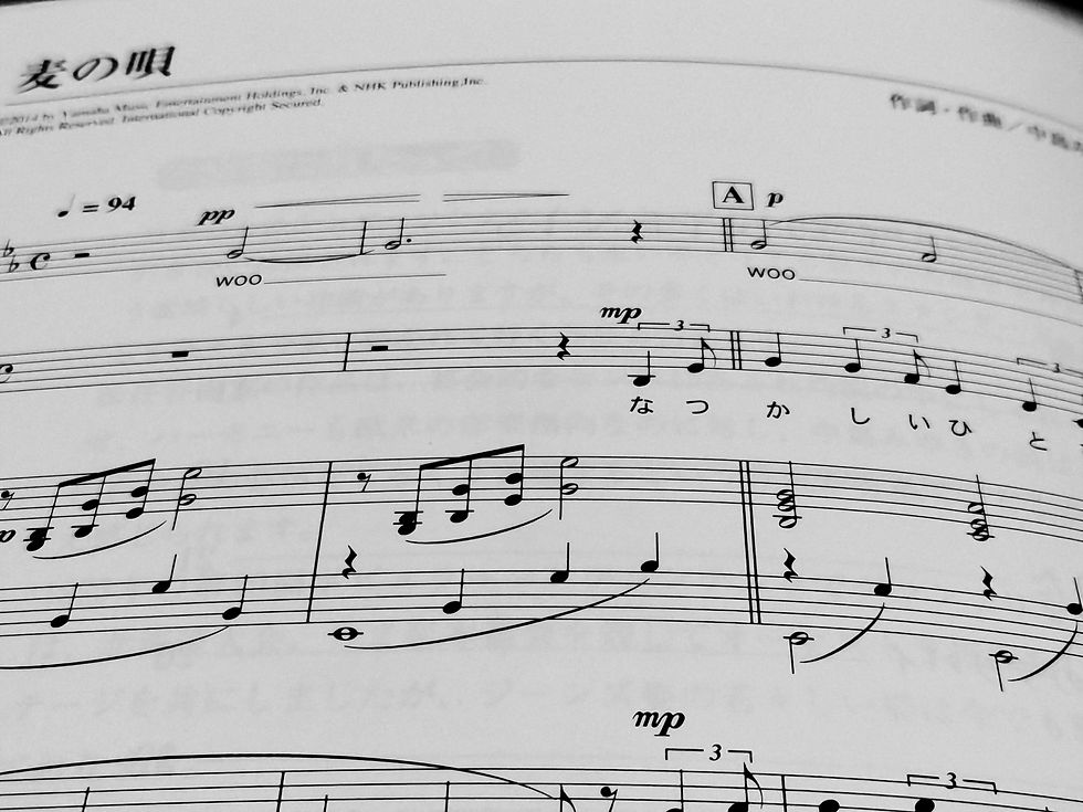 11月 活動日1回目