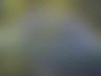 How Far Have You Come?