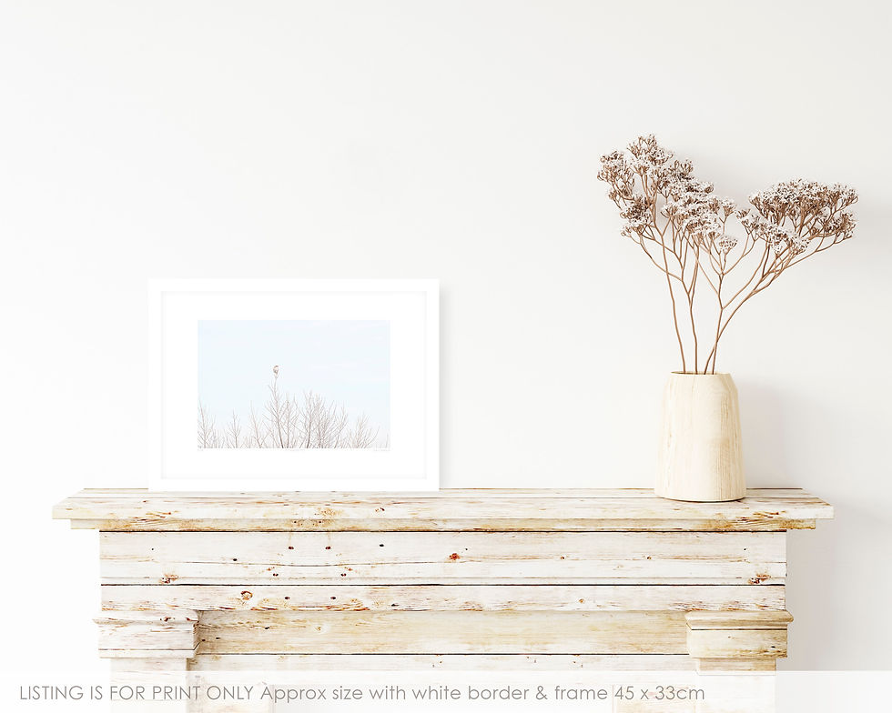Thumbnail: Sitting Pretty