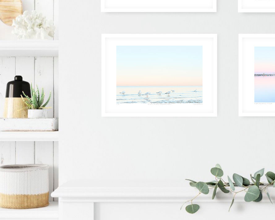 Thumbnail: Up With the Birds, Beaumaris Beach