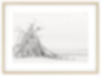 Oak Large Framed Print