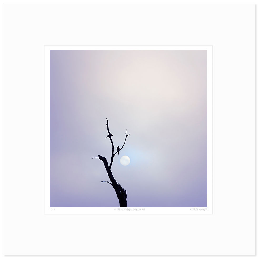 Thumbnail: Misty Morning, Beaumaris