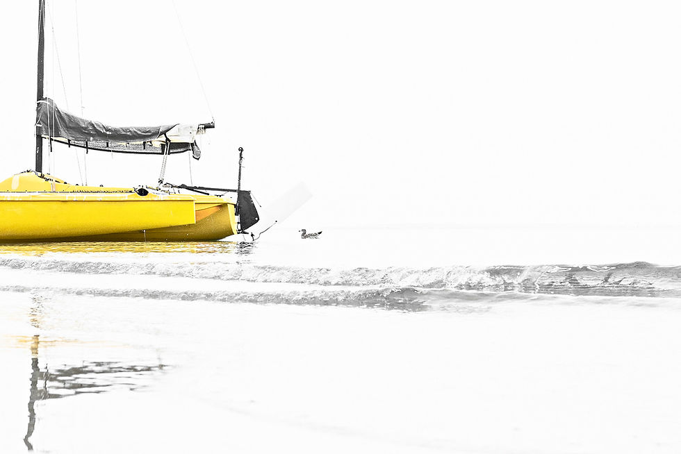 Thumbnail: Mellow Yellow, Rye Beach, 18x12" on A2, detail