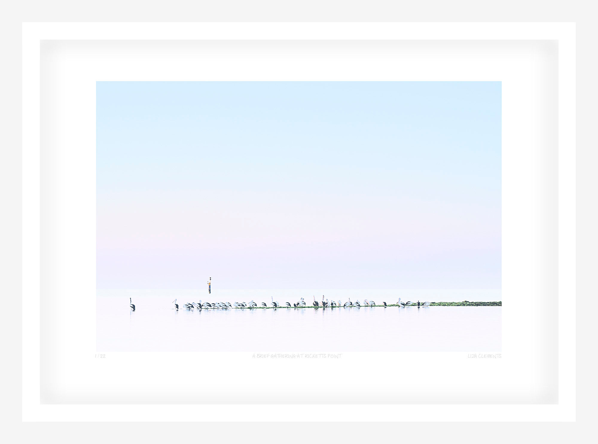 A Brief Gathering at Ricketts Point