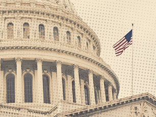 2024 U.S. Federal Elections: The Insider Threat