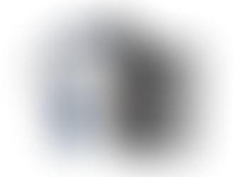 Critical Infrastructure Blindspot