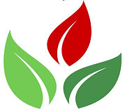 lcfsc logo with white space_edited_edited.jpg