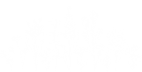 Pawen Lawen Flowers 2