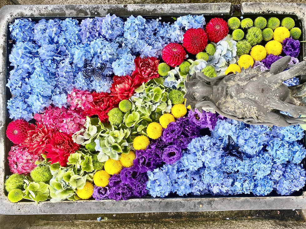 2585c25f-fcef-4236-aa6b-0c43302ec279