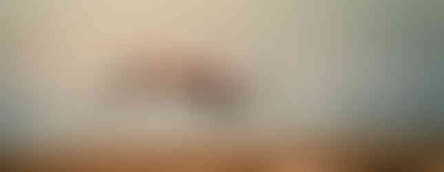 Ein Flamingo fliegt am Strand von Swakopmund in Namibia entlang