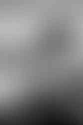 Ein Springbock trinkt aus einem Wasserloch im Khomas Hochland in Namibia