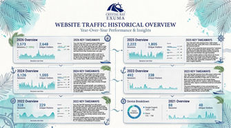 infographic for traffic overview fix.jpg