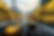 envato-labs-image-edit (21).png