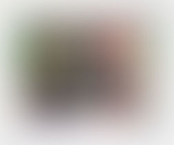 3rd November 2014 // "Storytelling & Whistleblower"