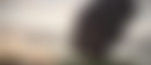 50 Remarkable Things