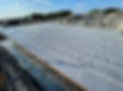 IMG_5287.JPEG
