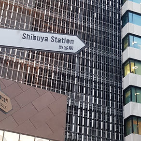 Hakuprosessi 1: se itse hakeminen