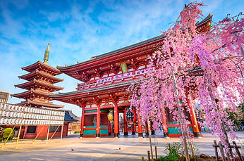 Tokyo, Japan_2025-12-27_18-37-30.jpg