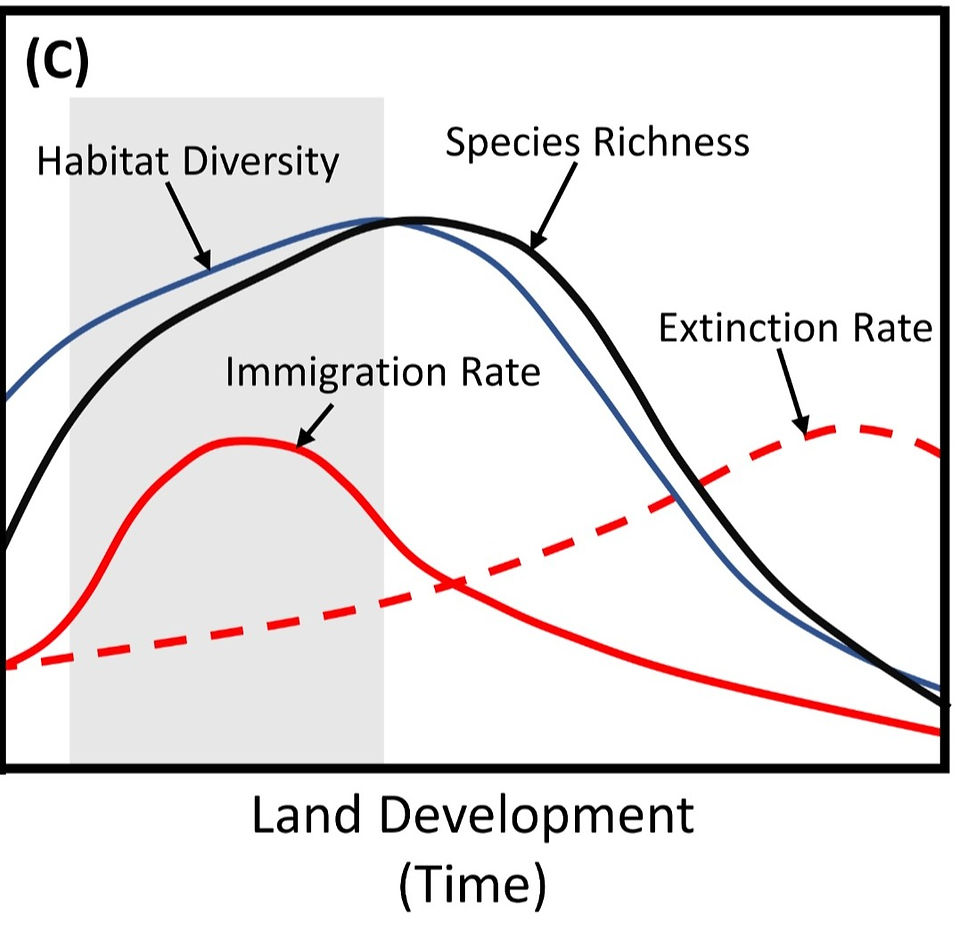 Changes in human effect on diversity over time built from the general dynamic model for island biogeography