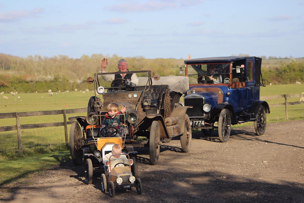 All sizes of Model Ts & family