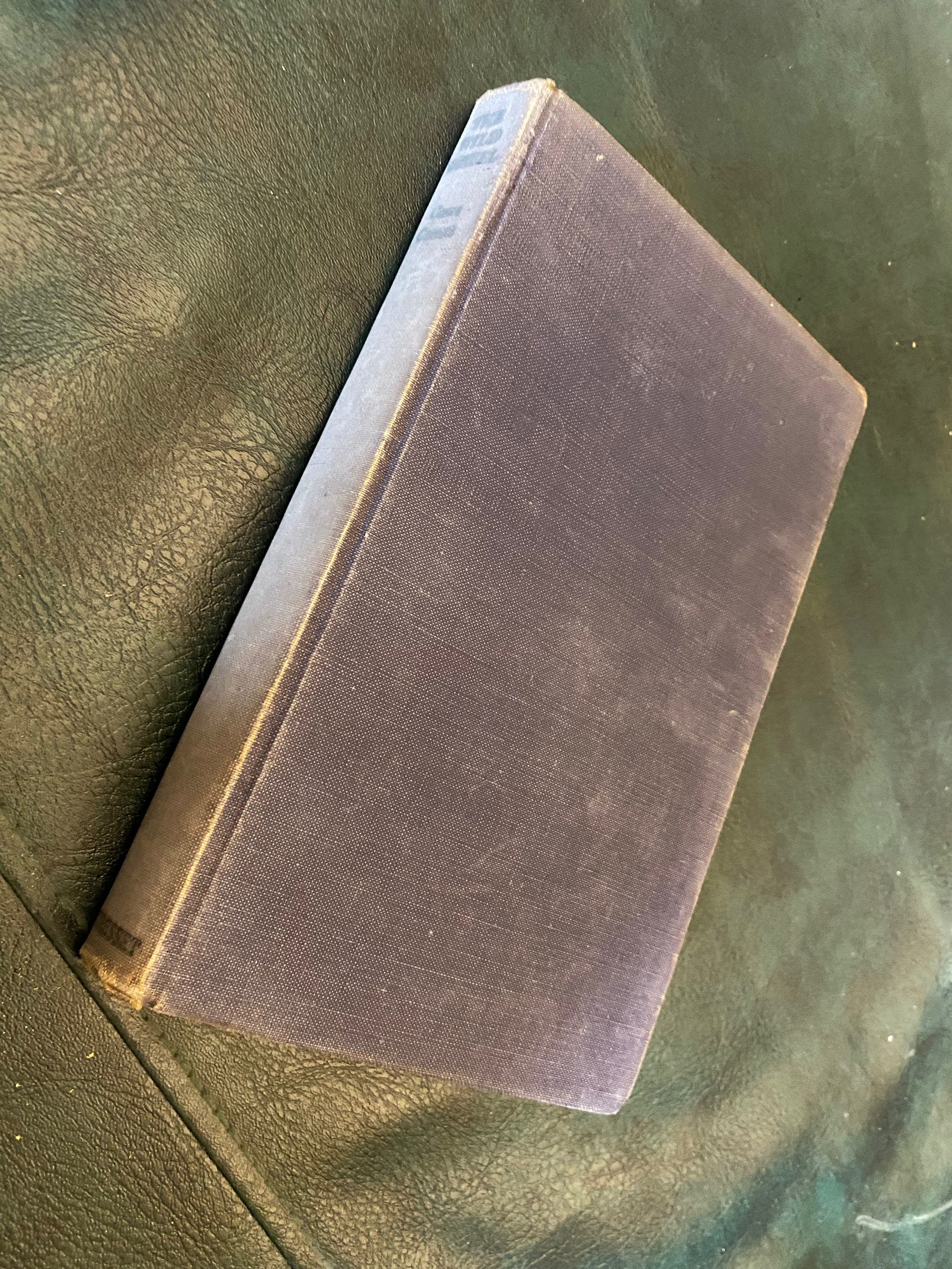 The Wild Wheel by Garrett